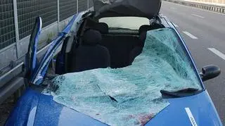 Tak wyglądało auto po zderzeniu z łosiem