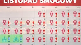 Tak wyglądało stężenie PM 2.5 w Poznaniu w listopadzie