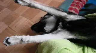 Taka urosnę!