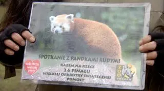 Taki voucher można wygrać na licytacji WOŚP