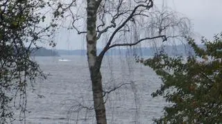 Tego szukają Szwedzi