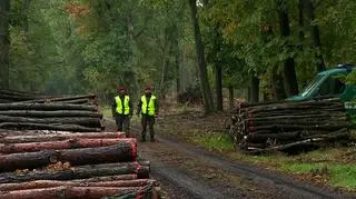 Terenu wokół eksplozji w lesie strzegą żołnierze