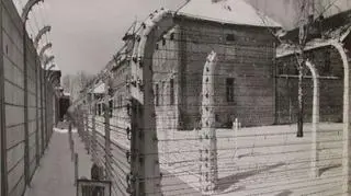 Tereny wyzwolonego przez Armię Czerwoną obozu KL Auschwitz I w Oświęcimiu 