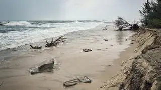 Things spewed out by the water lay around on the beach