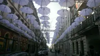 To czwarta edycja festiwalu