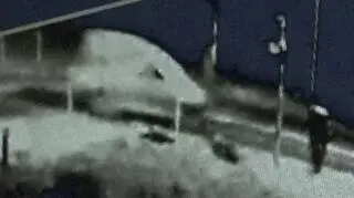 To najpewniej auto sprawcy