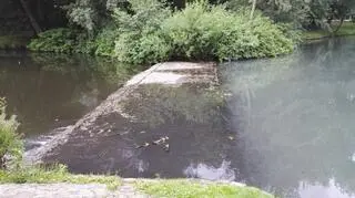 To nie pierwszy raz kiedy ktoś zatruwa wodę na Sołaczu