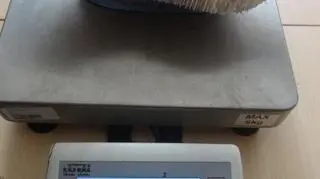 To pierwszy udaremniony przemyt koralowca od pięciu lat