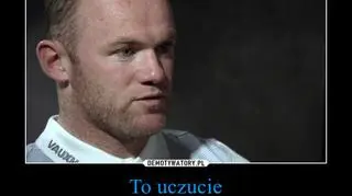 To uczucie, kiedy uświadamiasz sobie, że w referendum chodziło o inne euro
