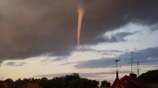 Trąba z daleka (fot. Żaneta)
