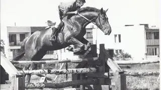  Trening skoków do zawodów, Hipodrom Sopot, 1971