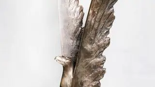 Trofeum - profil