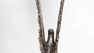 Trofeum - tył