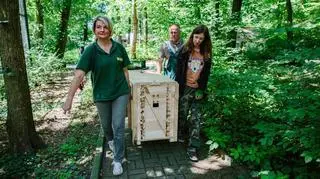 Trwają przygotowania Gabrysia do podróży