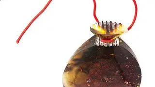 Trzecia nagroda trafiła do Niemki