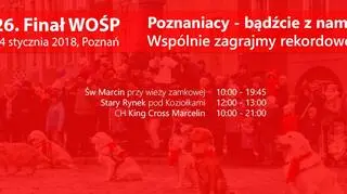 Tutaj będzie psia kwesta 