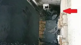 Tutaj utknął bóbr 