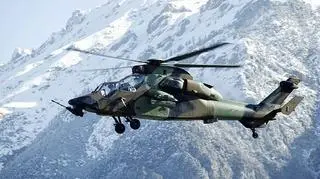 Tygrys produkowany przez Airbusa