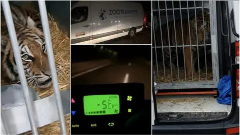 Dziewięć nagród dla TVN Grupa Discovery w Hamburgu. Pierwsze miejsca dla dokumentów TVN24