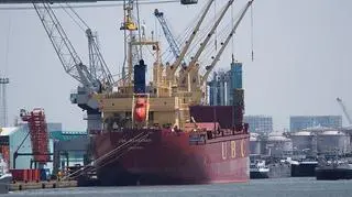 UBC Savannah (zdjęcie z portu w Antwerpii z czerwca 2015 roku) 