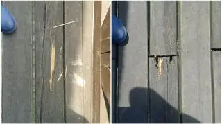 Ubytki w drewnie sfotografowane przez radnego