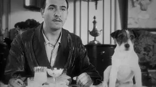 Uggie i Jean Dujardin (fot