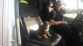 Uratowany przez policjantów szczeniak zamieszkał u jednego z mundurowych