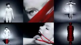 W 2002 roku wyreżyserowała teledysk Bjork "Cocoon"