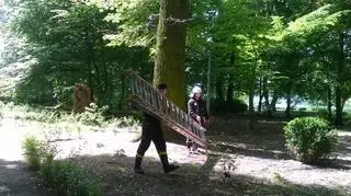 W akcji pomagali strażacy