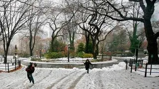 W Central Parku na razie śniegu jest niewiele. Ma być gorzej. (PAP/EPA)