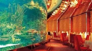 W hotelu jest kilkanaście restauracji i akwarium z żywą rafą koralową (fot