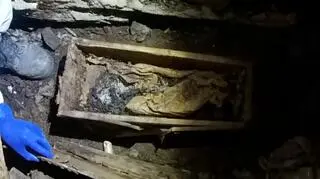 W kryptach znajdują się również pochówki dzieci