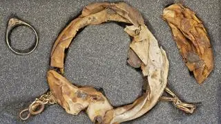 W kubku znajdował się m