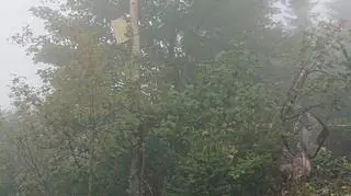 W miejscu wypadku panuje mgła