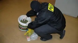 W mieszkaniu mężczyzny policja znalazła prawie 4 kg marihuany