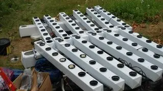 W mieszkaniu policjanci znaleźli ponad 2 kilogramy marihuany a także pozostałości po plantacji konopi indyjskich