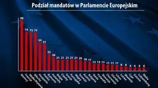 W PE najwięcej miejsc przypada Niemcom, najmniej Cyprowi, Estonii, Luksemburgowi i Malcie