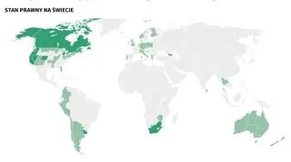 W Polsce używanie medycznej marihuany na receptę i za zgodą lekarza jest zgodne z prawem