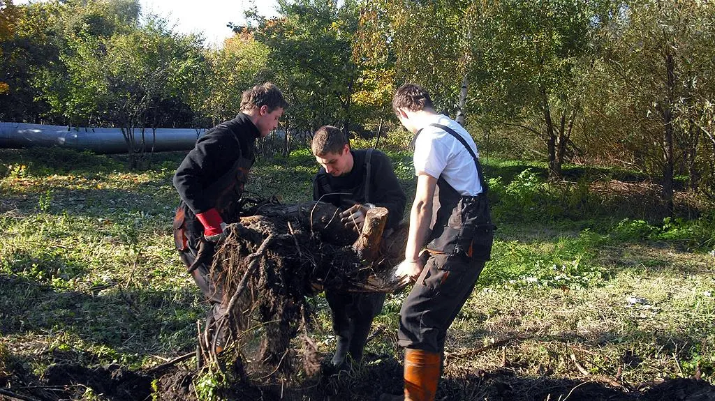W projekt zaangażowani są bezrobotni 