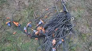 W przewodach geofonów jest niewiele metalu