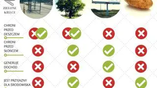 W rankingu z kieleckimi wiatami zwyciężył nawet ziemniak, który zdobył 1 punkt