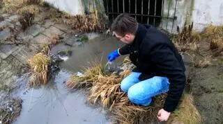 W rzece pływały śnięte ryby