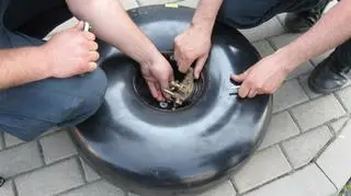 W tej butli gazowej ukryto 26 kg bursztynu 