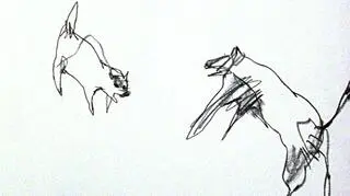 W ub.r. film zdobył Jerwood Drawing Prize, czyli jedną z najważniejszych brytyjskich nagród dla rysowników