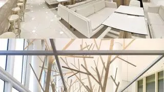 W ubiegłym roku wygrały: bar Graffiti z Bułgarii (na górze) i restauracja A Cantina z Hiszpanii