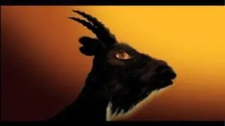 W wydanej w 2003 roku powieści "Amok", Bala opisał zbrodnię podobną do tej, za którą został skazany