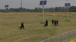 W zeszłym roku psy prawie tysiąc razy były wykorzystywane w Małopolsce do wyszukiwania materiałów wybuchowych