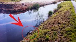 Walizkę z ciałem gangstera znalezionio w kanale w Holandii