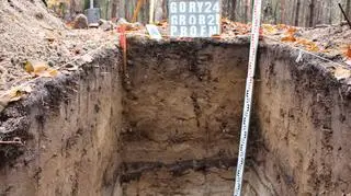 Warstwa próchnicy pierwotnej (z czasów budowy kurhanu) pod nasypem