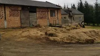 Warunki w gospodarstwie były fatalne